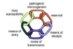 Chain of Infection